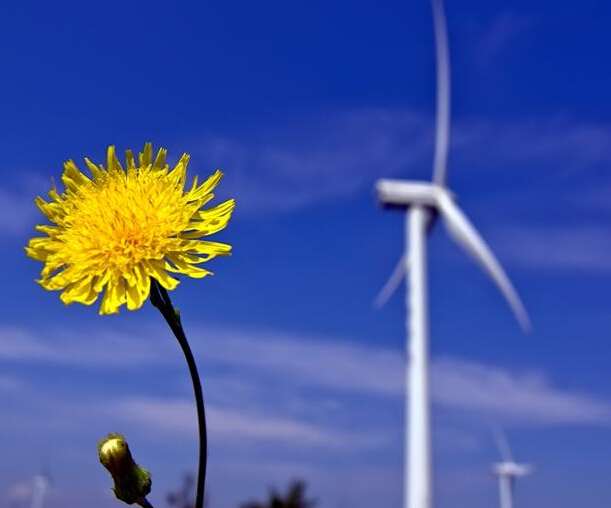 2020年全球风电容量将突破60吉瓦大关